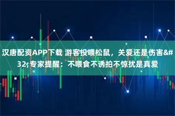 汉唐配资APP下载 游客投喂松鼠，关爱还是伤害 专家提醒：不喂食不诱拍不惊扰是真爱