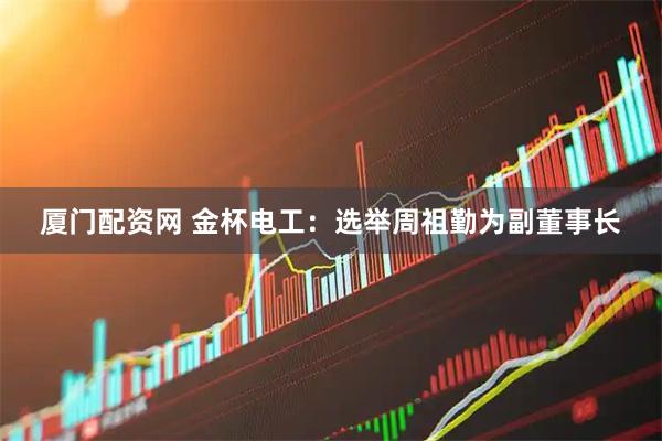 厦门配资网 金杯电工：选举周祖勤为副董事长